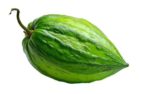 Fresh whole pointed gourd with vibrant green striped skin and realistic natural texture, isolated PNG on transparent background