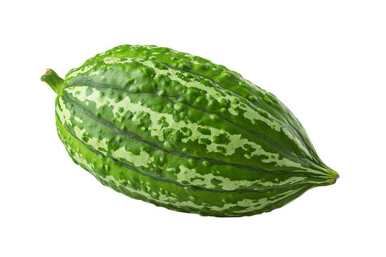 Fresh whole pointed gourd with vibrant green striped skin and realistic natural texture, isolated PNG on transparent background