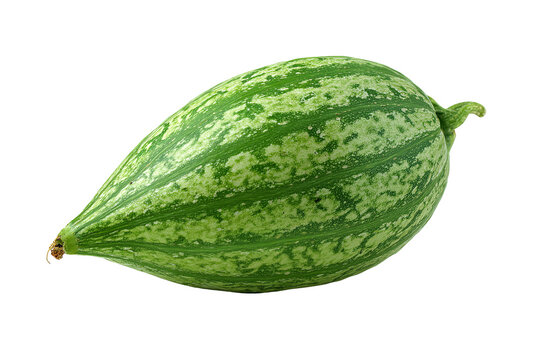 Fresh whole pointed gourd with vibrant green striped skin and realistic natural texture, isolated PNG on transparent background