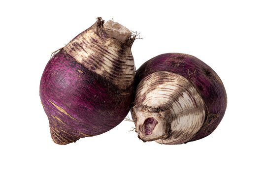 Fresh whole taro root with natural brown textured skin, isolated PNG on transparent background