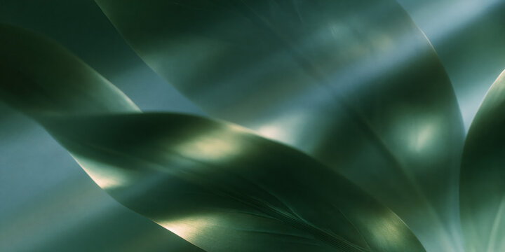 Abstract dark green leaves with smooth flowing texture and dramatic moody lighting