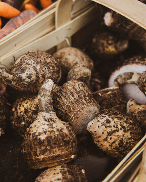 Freshly harvested taro root in a wooden crate