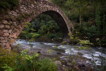 Fototapeta premium River flows under a medieval stone bridge