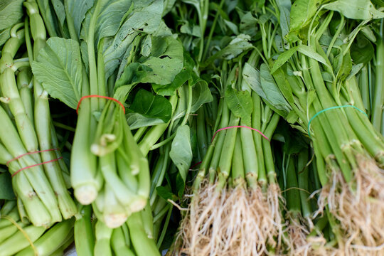 Fresh bunches of leafy green Asian vegetables