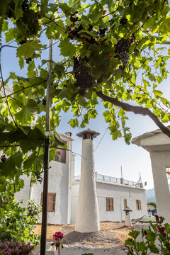 Traditional hat shape chimney framed by vine arbor, Alpujarras