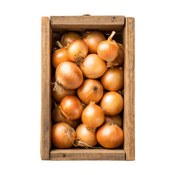 Wooden produce crate filled with fresh onions for grocery branding farmers markets food retail and packaging