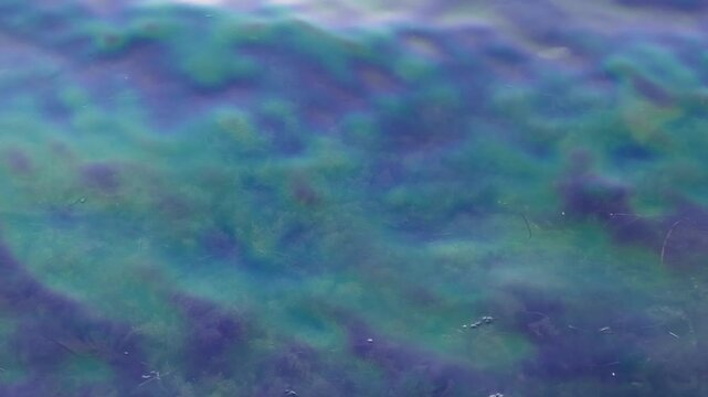 polluted sea water with fuel spill and rainbow film on the surface, slow motion
