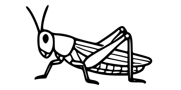 A clean black-and-white vector illustration of a detailed grasshopper viewed from the side, matching a bold hand-drawn line-art style. The grasshopper has a rounded head with a large oval eye, two lon