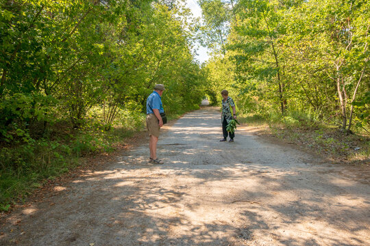 Active Senior Couple Enjoying Nature Walk along Forest Path on Sunny Summer Day