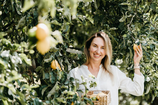 Smiling woman holding fresh lemons while sitting under a lemon tree in a sunny orchard