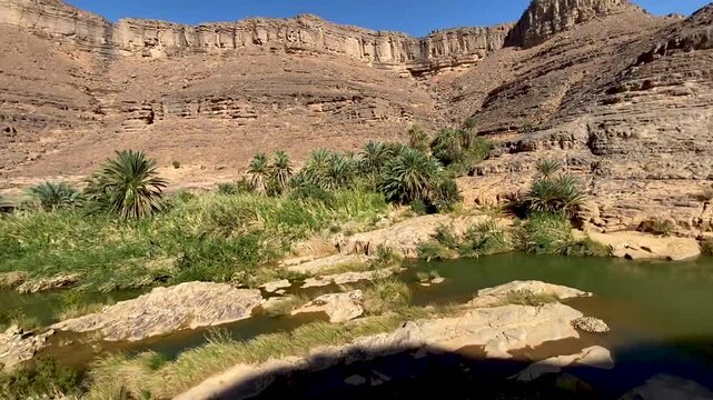 A scenic view of a lush green oasis with palm trees nestled in a rugged, arid canyon landscape under a clear blue sky in Wadi Bani Khalid, Oman.