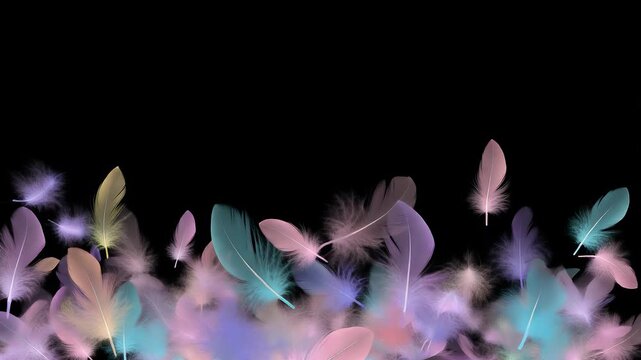 A collection of soft, pastel-colored feathers arranged along the bottom edge of a black background.