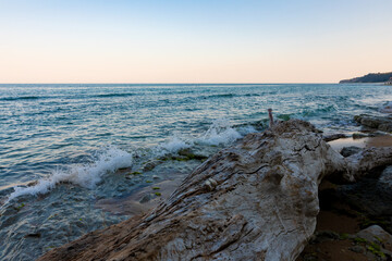 Weathered driftwood rests on a sandy shore with gentle waves, clear blue water, and a serene horizon, ideal for nature or travel themes. © Alexandra