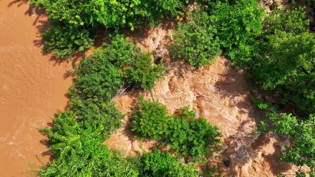 Fast moving muddy floodwater flows beneath a dense forest canopy, representing climate extremes, heavy rainfall, ecosystem vulnerability, resource management, ESG principles and disaster preparedness.