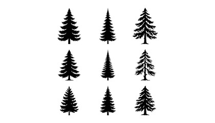 Fototapeta premium Nine black pine tree silhouettes with transparent evergreen tree 1