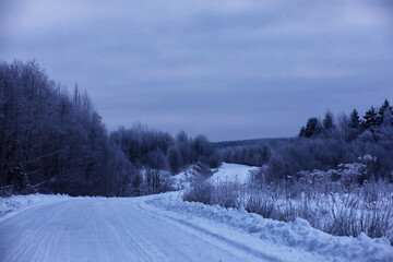 Fototapeta premium The forest is covered with snow. Frost and snowfall in the park. Winter snowy frosty landscape.