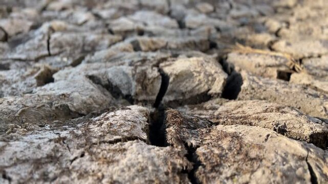 Parched ground lies deeply fractured during a dry rural season, revealing prolonged moisture loss from heat and scarce precipitation and creating a stark environmental scene.