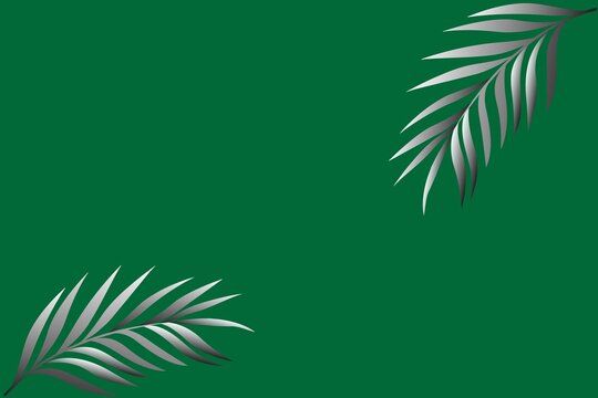 Elegant palm leaf on green background isolated on white background