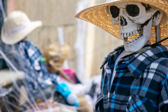 Ourense Halloween display with a dressed up skeleton scarecrow The Concept of death and celebration