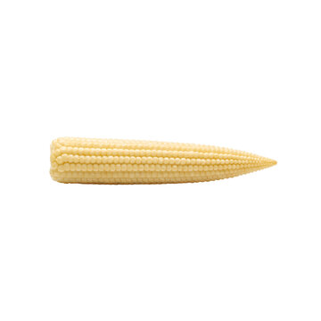 Single raw baby corn ear isolated on transparent background