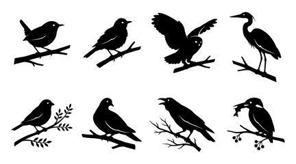 Obraz premium Set of bird silhouettes