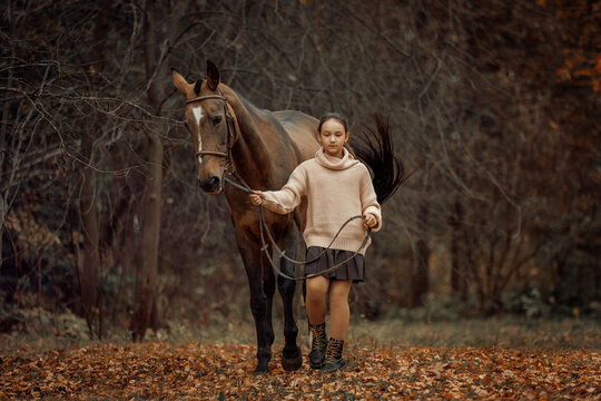 A young girl with a brown horse outdoors in an autumn forest