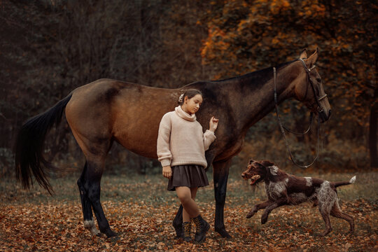 A young girl with a brown horse outdoors in an autumn forest