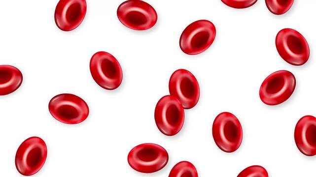 Red Blood Cells Falling Downwards Against a Plain White Background
