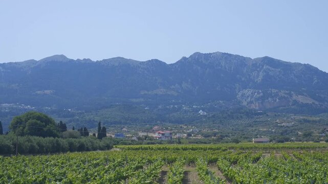 A view from a bus window traveling through the lush rural landscapes of Kos in Greece in 4K slow motion 120fps