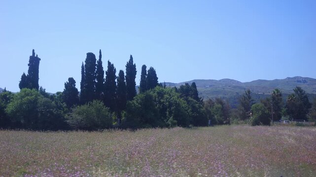 A view from a bus window traveling through the lush rural landscapes of Kos in Greece in 4K slow motion 120fps