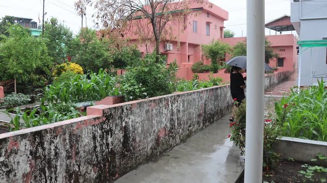 Indian girl walking with an umbrella along a wet residential pathway during the rainy season, surrounded by lush green plants, gardens and houses.