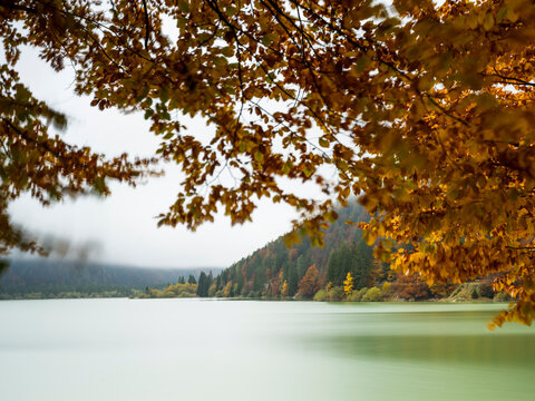 Autumn leaves frame a peaceful lake and lush forest landscape, showcasing a truly serene nature tourism destination in the outdoors at the Predil lake, Julian Alps, Tarvisio, Friuli, Italy.