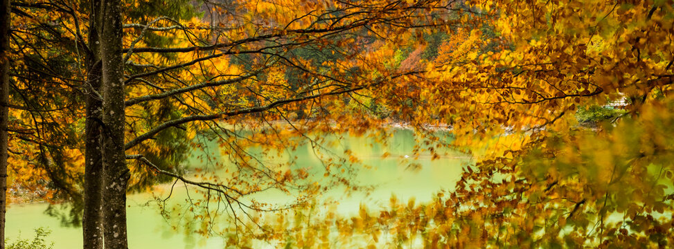 Autumn foliage frames the turquoise waters of a tranquil alpine lake, offering a prime tourism destination for nature travel. Predil lake, Julian Alps, Tarvisio, Friuli, Italy.