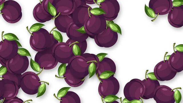 Falling Purple Plum Fruit Animation on Plain White Background