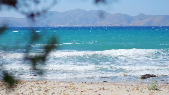 A calm beach scene with a single tree overlooking turquoise waves in 4K slow motion 120fps