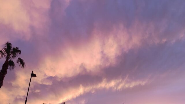 Silhouetted palm trees against a vibrant purple and pink sunset sky with dramatic clouds, creating a peaceful tropical twilight background for travel b-roll footage.