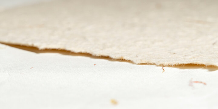 Macro close up shot of handmade recycled paper texture with rough torn edges and natural plant fibers