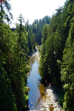 Capilano Suspension Bridge Park