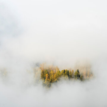 Autumn forest foliage emerging from thick morning fog, creating nature tourism background with copy space in a mountain landscape, Sella Nevea, Julian Alps, Chiusaforte, Friuli, Italy.