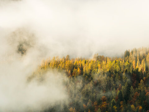 Golden autumn forest foliage emerges from thick mountain mist, offering vast copy space for nature tourism and wilderness exploration in Sella Nevea, Julian Alps, Chiusaforte, Friuli, Italy.
