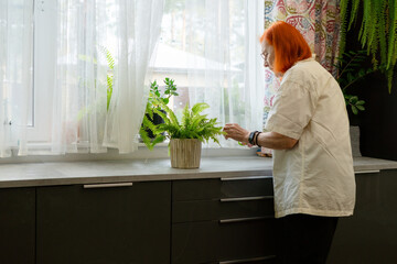 Fototapeta premium A senior woman with bright red hair engages in gardening, caring for her indoor flowers on the kitchen windowsill. The image reflects her daily routine and love for plants. Grandma at home.