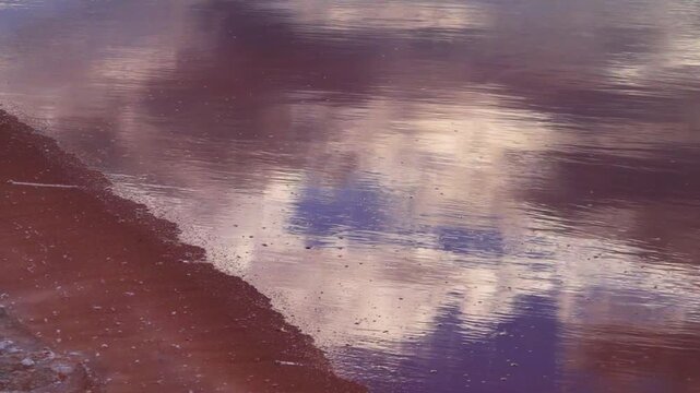 Crystallization of native salt on water surface (ice formation type). Hypersaline Lake. Red-brown water is by bacterias Dunaliella salina antioxidant, beta-carotene, cosmetics and dietary supplements
