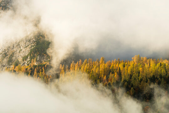Golden autumn forest with misty mountains creates a serene tourism destination, offering natural background copy space for outdoor adventure in Sella Nevea, Julian Alps, Chiusaforte, Friuli, Italy.