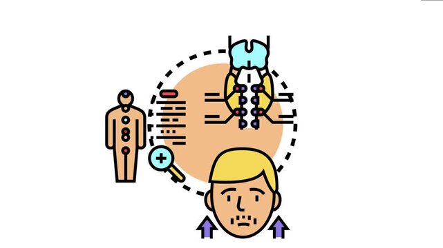 Anterior pituitary gland regulating thyroid hormone levels in the body, impacting human health and endocrine system function, a vital medical and anatomical concept