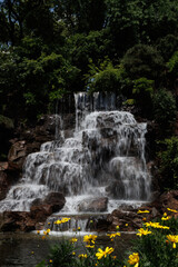 Forest Waterfall with Yellow Wildflowers © DinhAnhMy