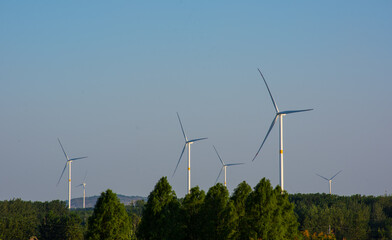 Wind Turbines in a Green Landscape © DinhAnhMy