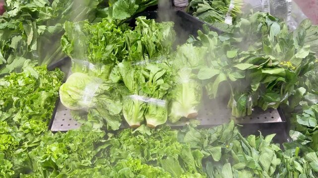 Fresh Leafy Greens and Herbs in Supermarket Produce Section 