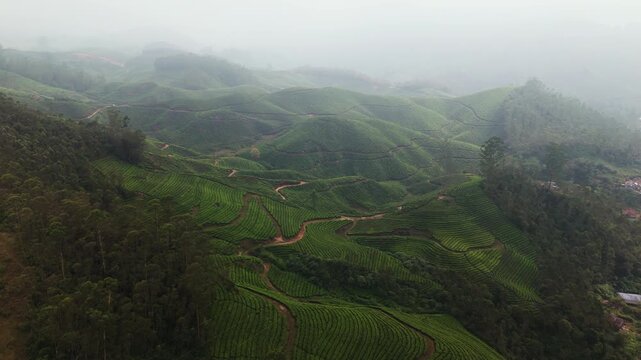 Panoramic drone shot around the foggy hills and tea terraces in Munnar, India