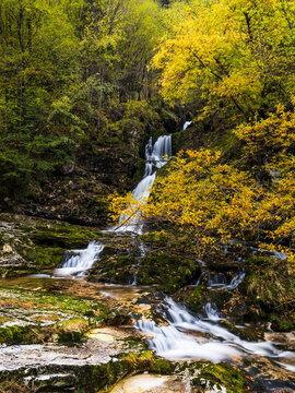 Waterfall flows over mossy rocks in autumn forest, a serene wilderness nature tourism destination for ideal travel exploration at Goriuda waterfall, Julian Alps, Chiusaforte, Friuli, Italy.