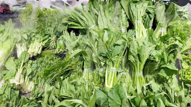Fresh Leafy Greens and Herbs in Supermarket Produce Section 